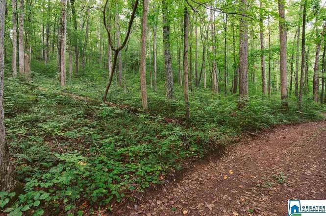 5925 Cahaba Valley Rd Unit 31.43 acres, Birmingham, AL 35242 | MLS