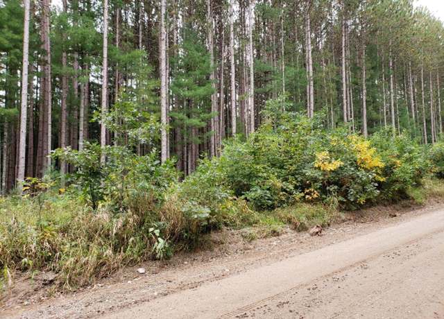 Property at V/L N Lakola Rd. Rd, Leroy, MI 49655