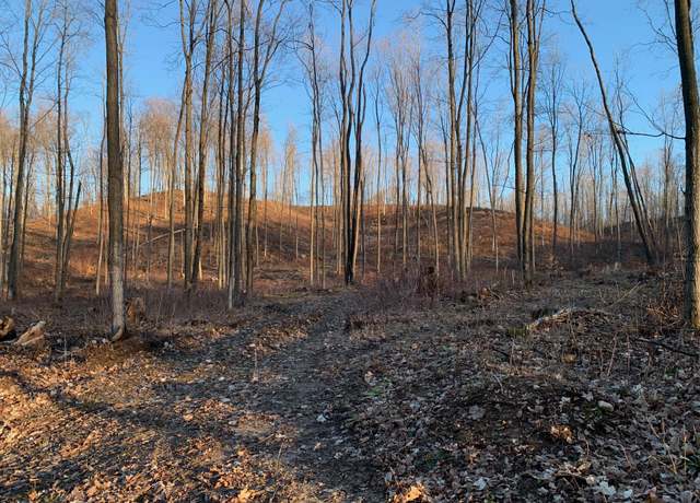 Property at Chief ''e'' Rd, Bear Lake, MI 49614