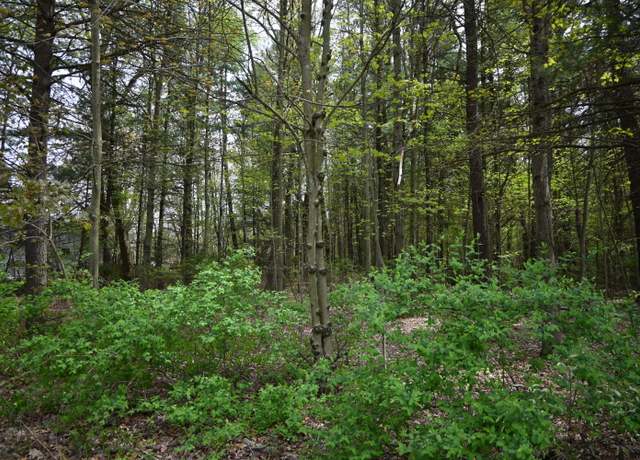 Property at V/L 6th St, Twin Lake, MI 49457