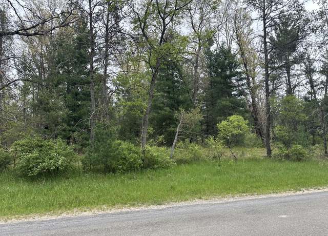 Property at 00 S Forman Rd, Idlewild, MI 49642