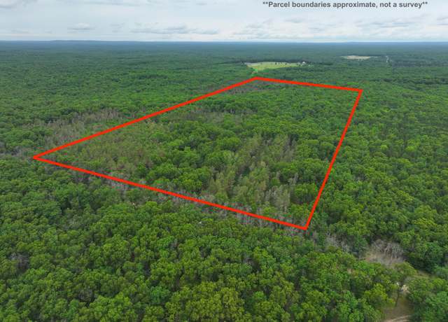 Property at 7376 W 7 Mile Rd, Irons, MI 49644