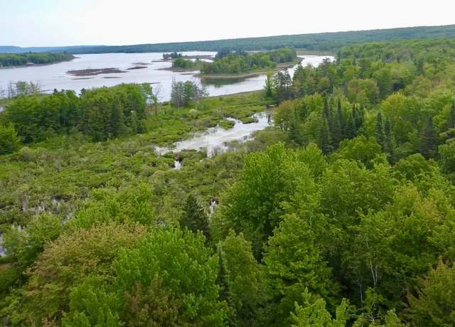 Property at V/L 17.5A Sugar Island Rd, Sault Ste. Marie, MI 49783
