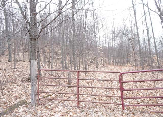 Property at Chief L Rd, Bear Lake, MI 49614