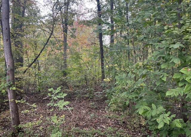 Property at V/l Riverdale Rd, Whitmore Lake, MI 48189