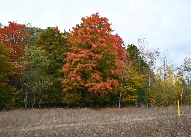 Property at 0 Motz Rd Parcel A Rd SW, Kalkaska, MI 49646