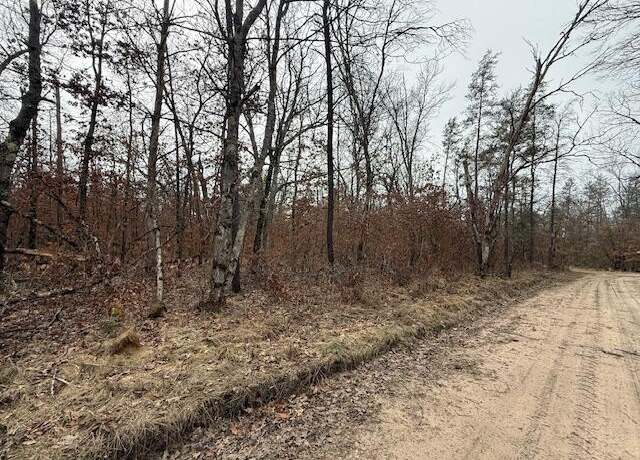 Property at VL Springfield Ave, Idlewild, MI 49642
