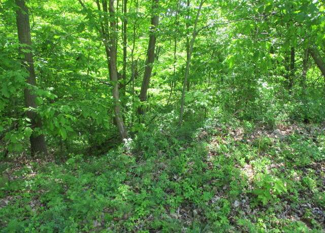 Property at 3670 Ohio St, Coloma, MI 49038