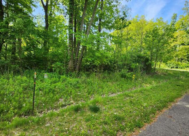 Property at Undisclosed address, New Buffalo, MI 49117