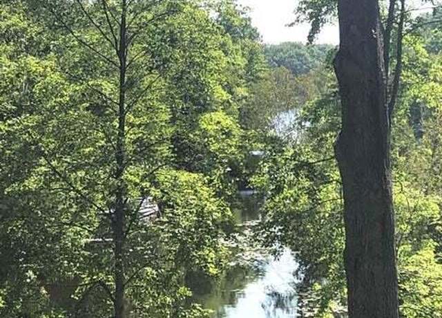 Property at 10975 Thornapple Dr, Canadian Lakes, MI 49346