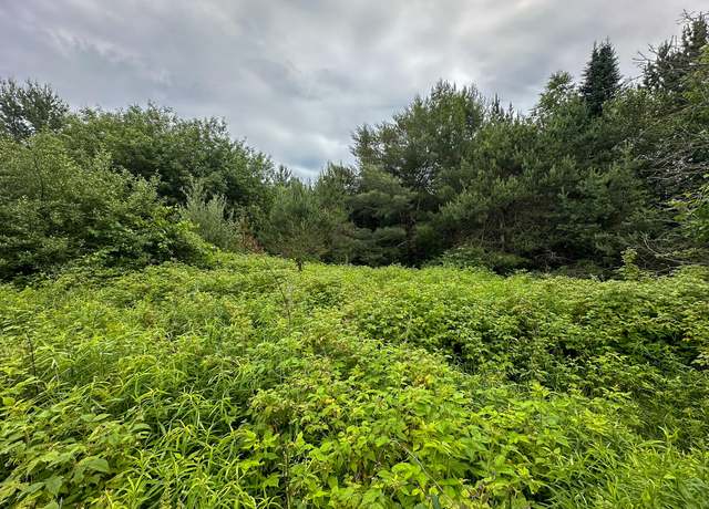 Property at 40 N Everett, Roscommon, MI 48653