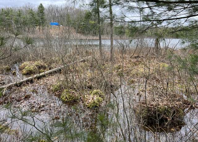 Property at VL Perch Lake Dr, Bitely, MI 49309