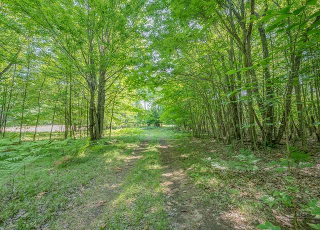 Property at V/L 120th Ave, Hersey, MI 49639