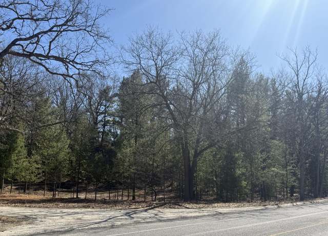 Property at 4.39 Acres BR US 31, Pentwater, MI 49449