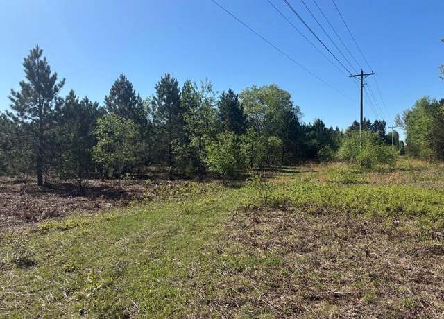 Property at Parcel A Spruce, White Cloud, MI 49349