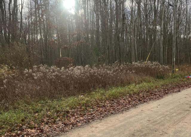 Property at Lot 3 Pakes Rd, Stanton, MI 48888