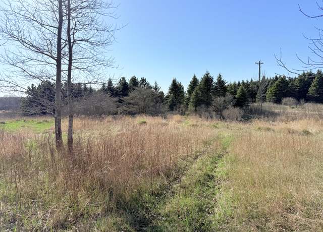 Property at V/L Big Stone Lake Rd, Evart, MI 49631