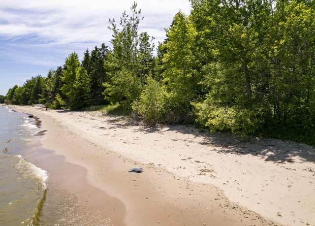 Property at V/L #2 M-35 Cedar River Rd, Menominee, MI 49858