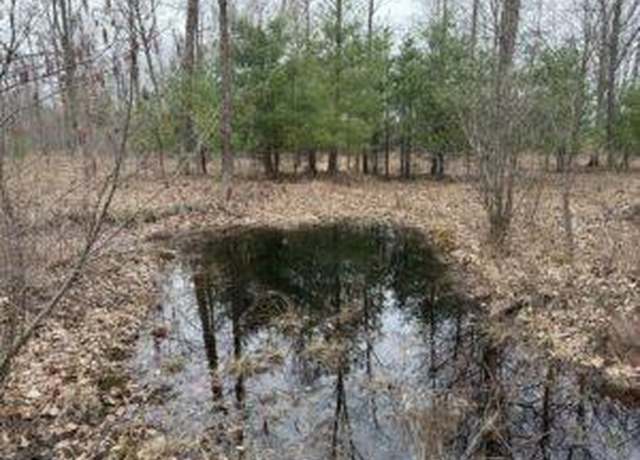 Property at 00# 4 Mile Rd, Lake, MI 49679