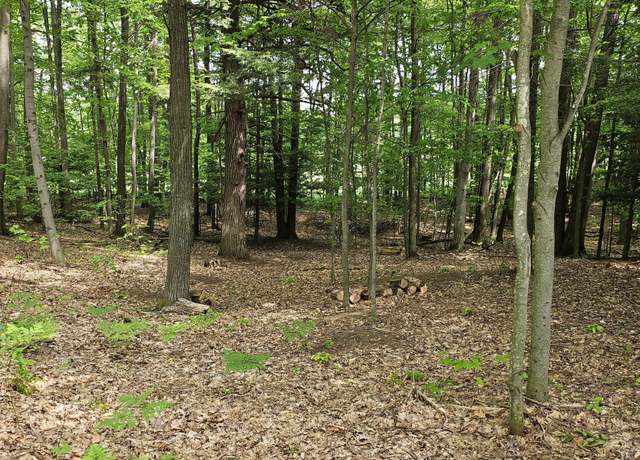 Property at Lot 1 Emerald Rdg, Onekama, MI 49675