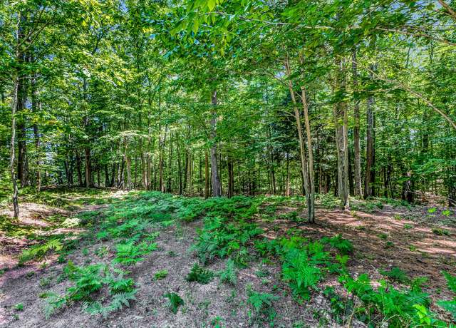 Property at Lot 1 Emerald Rdg, Onekama, MI 49675