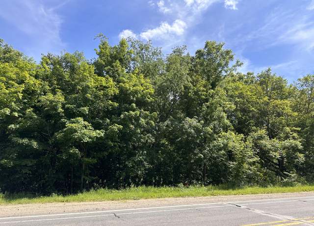 Property at VL Ann Arbor Rd, Grass Lake, MI 49240