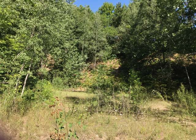 Property at Lots 8 & 9 S Riverview Dr, Hesperia, MI 49421