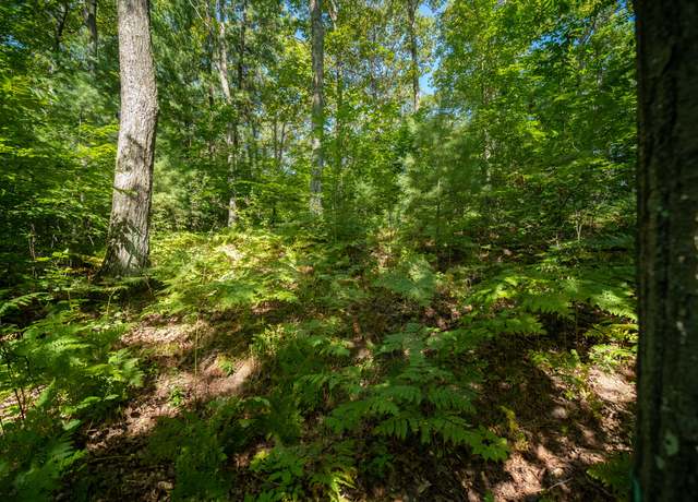 Property at Emerald Rdg #29, Onekama, MI 49675