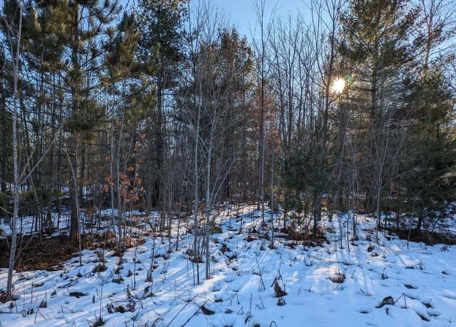 Property at 15 Jussi St, Kaleva, MI 49645