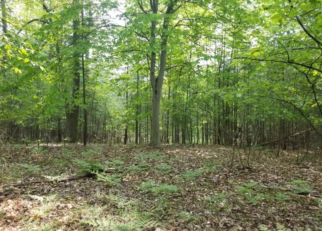 Property at Par 16 W 12 Mile Rd, Irons, MI 49644