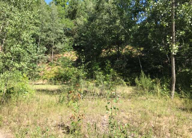 Property at Lots 10&11 S Riverview Dr, Hesperia, MI 49421