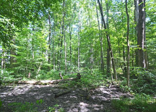 Property at 52251 17th Ave, Grand Junction, MI 49056