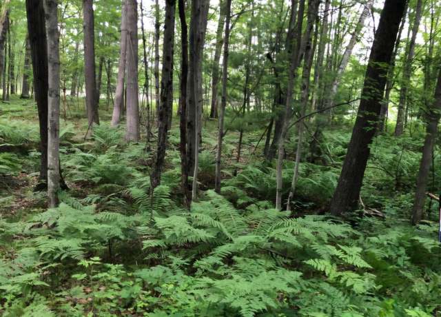 Property at 7752 N Felch, Bitely, MI 49309