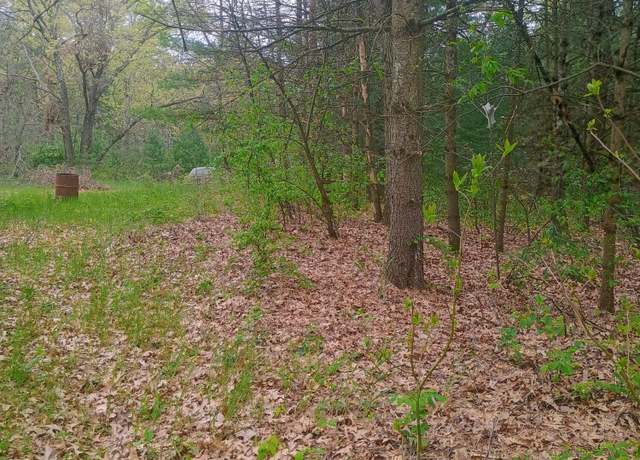 Property at 4590 Oak Ave, Newaygo, MI 49337