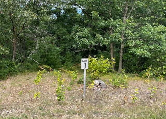 Property at Lot 1 Renaissance Park, Manistee, MI 49660
