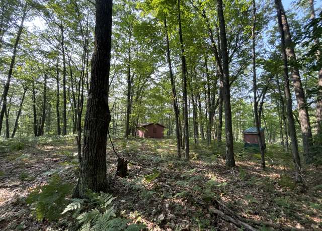 Property at 942 N 47 1/2 Rd, Manton, MI 49663