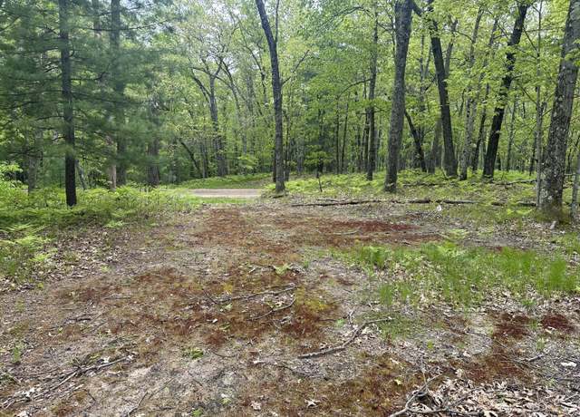 Property at 9846 W Oxpath, Baldwin, MI 49304