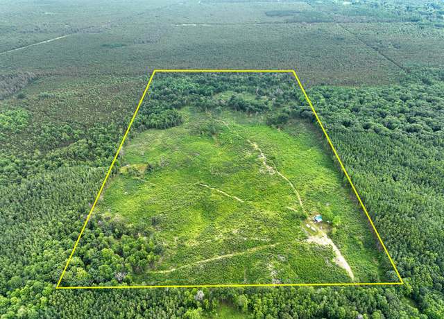 Property at 10000 Lake Station Ave, Marion, MI 49665