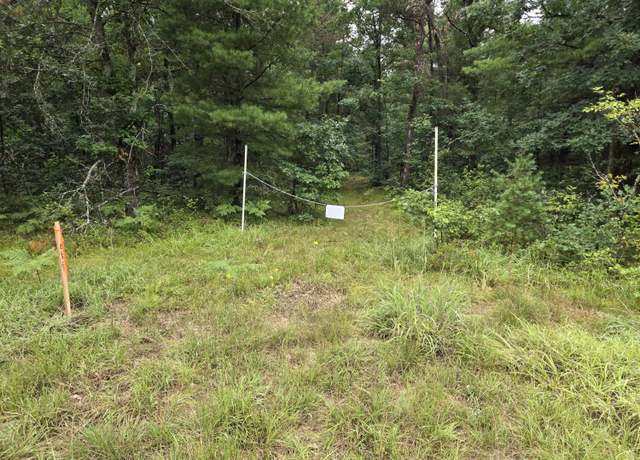 Property at V/L (A) E 44th, Idlewild, MI 49642