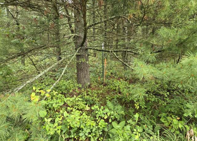 Property at V/L Par B E 44th, Idlewild, MI 49642