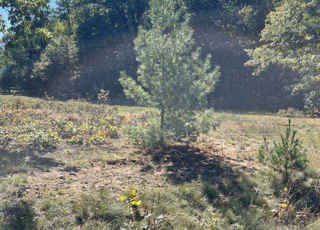 Property at 122 Hidden Hills Dr, Houghton Lake, MI 48629