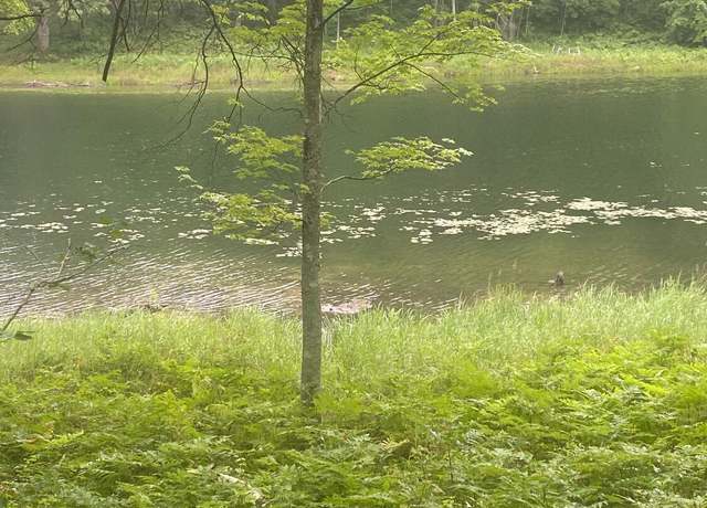 Property at V/l Alpine Drive Lot 318, Reed City, MI 49677