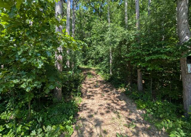 Property at V/L North Ave, Bellevue, MI 49021