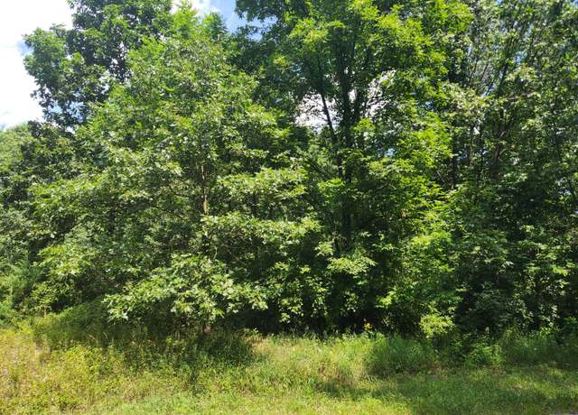 Property at 13227 Beckwith Dr NE, Lowell, MI 49331