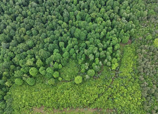 Property at S M 37, Slagle, MI 49638