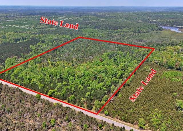 Property at 0 W Moorestown Rd, Manton, MI 49663