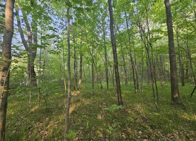 Property at V/L Mannsiding Rd, Harrison, MI 48625