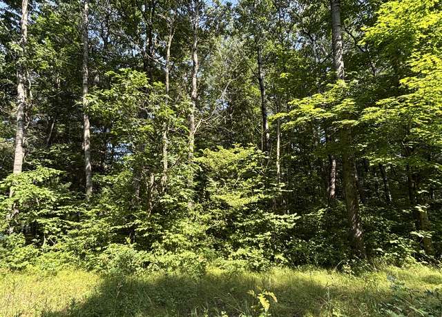 Property at 3628 Indian Trail Xing, Hersey, MI 49639