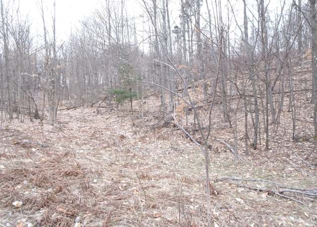 Property at M Chief Rd, Bear Lake, MI 49614