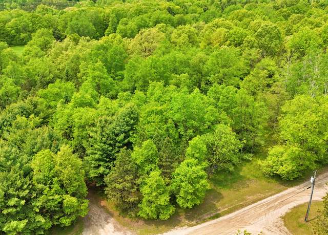 Property at 80+/- Acres V/l 140th Ave, Stanwood, MI 49346